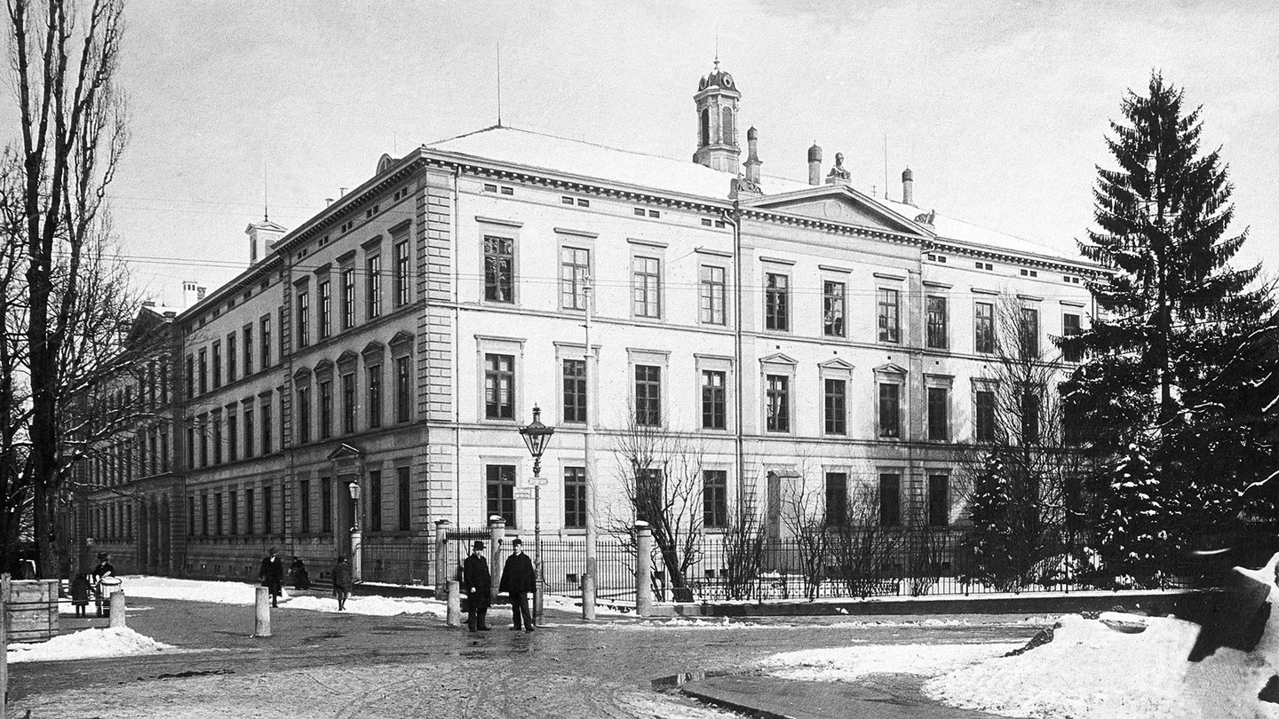 Alice Scheitlin, Biografie, Persönlichkeit, HSG