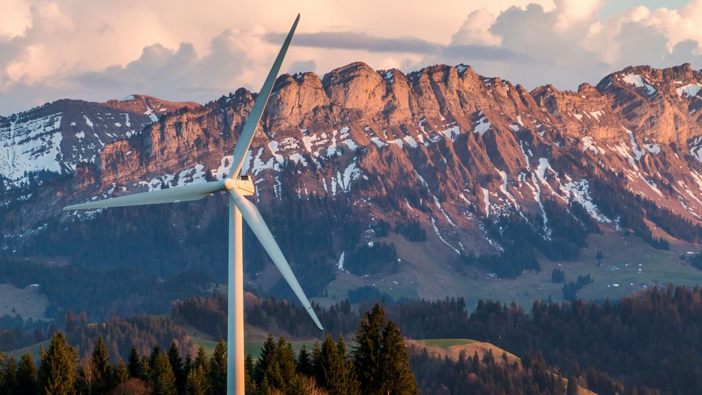 8th Consumer Barometer of Renewable Energy