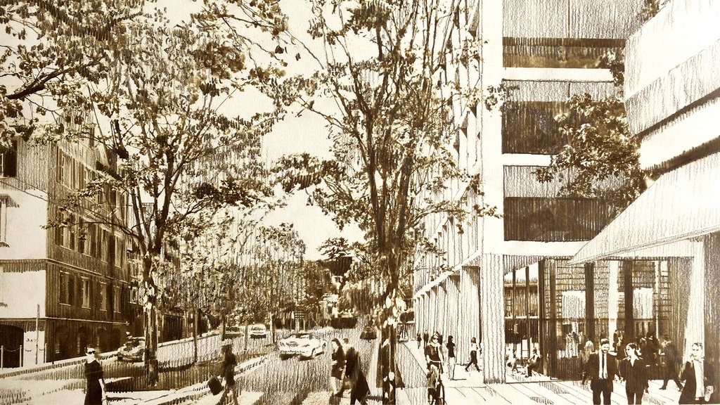 Stadtrat sagt Ja zum HSG-Campus am Platztor