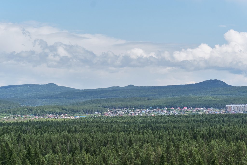 HSG study: Forests act as natural air-conditioning systems, generating billions in value