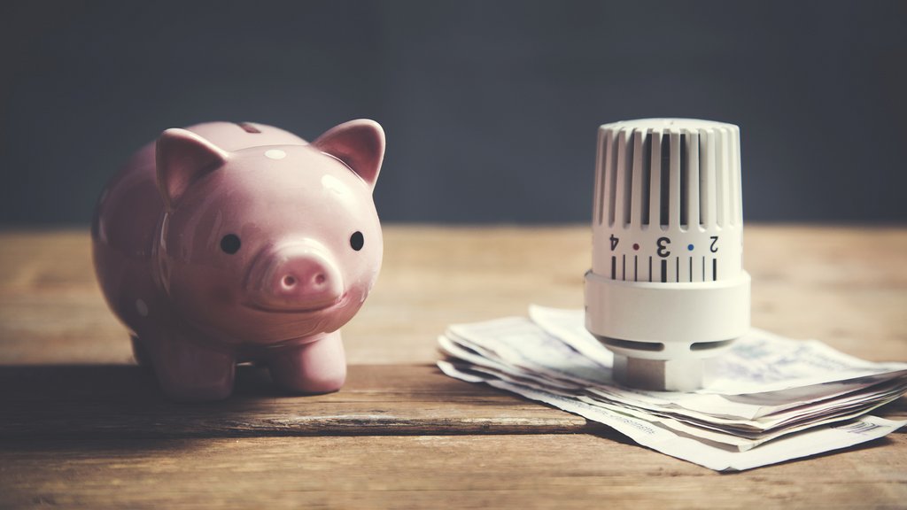 Studentische Initiative: Nachhaltig Wohnen und Geld sparen