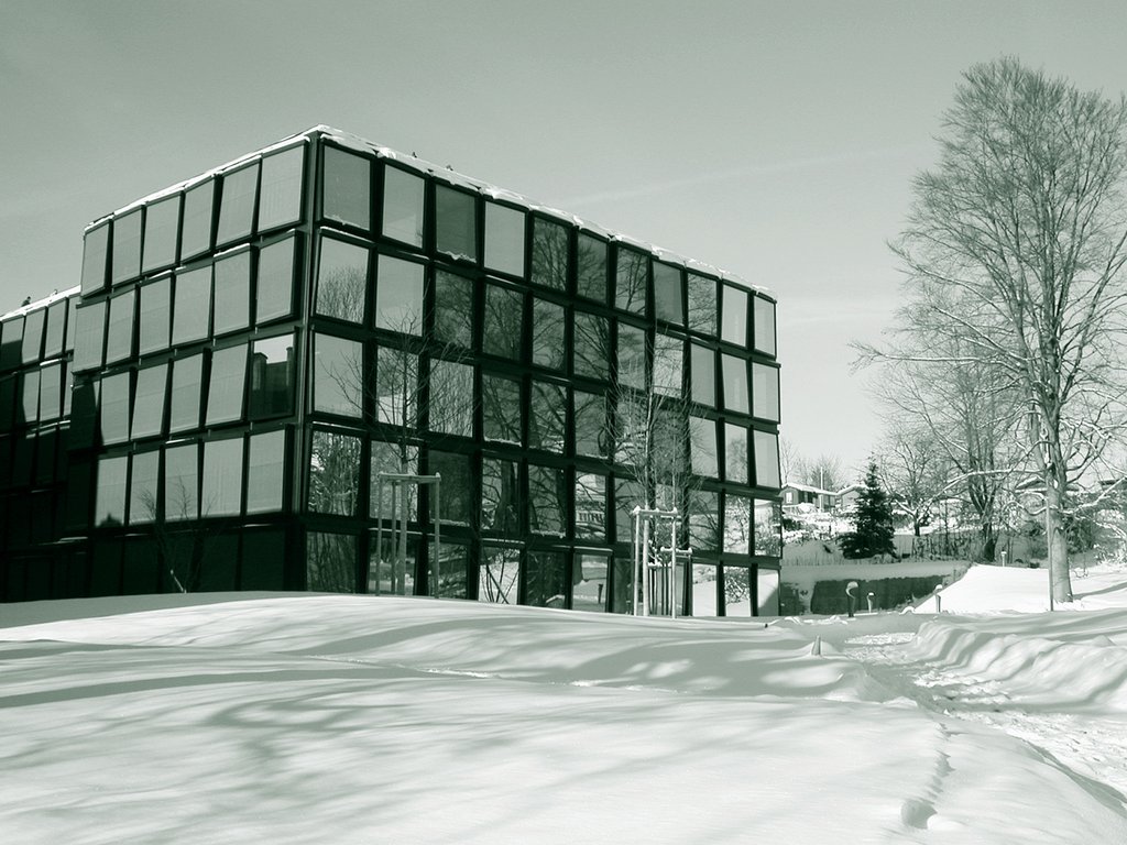 ‘The HSG Institute of Management was once the largest management consultancy in Switzerland’