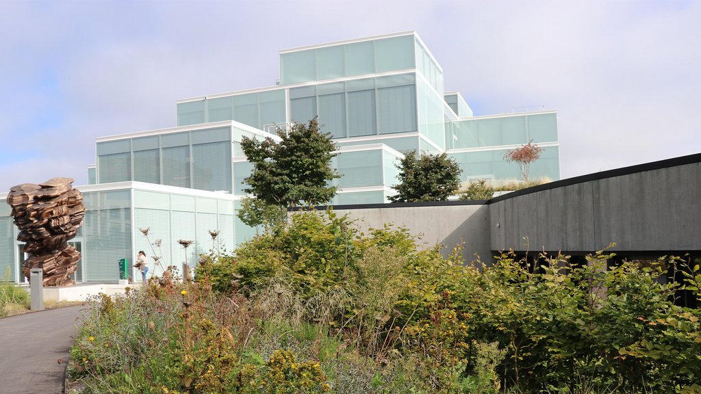 Grüner HSG-Campus: Lebensraum für viele Pflanzen und Tiere