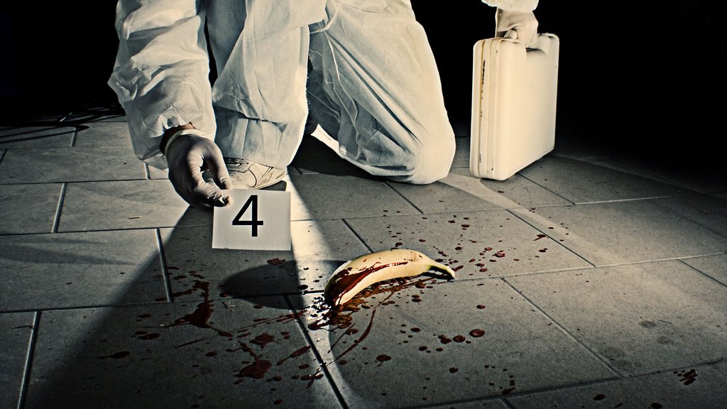 Jan Seghers to read at the HSG