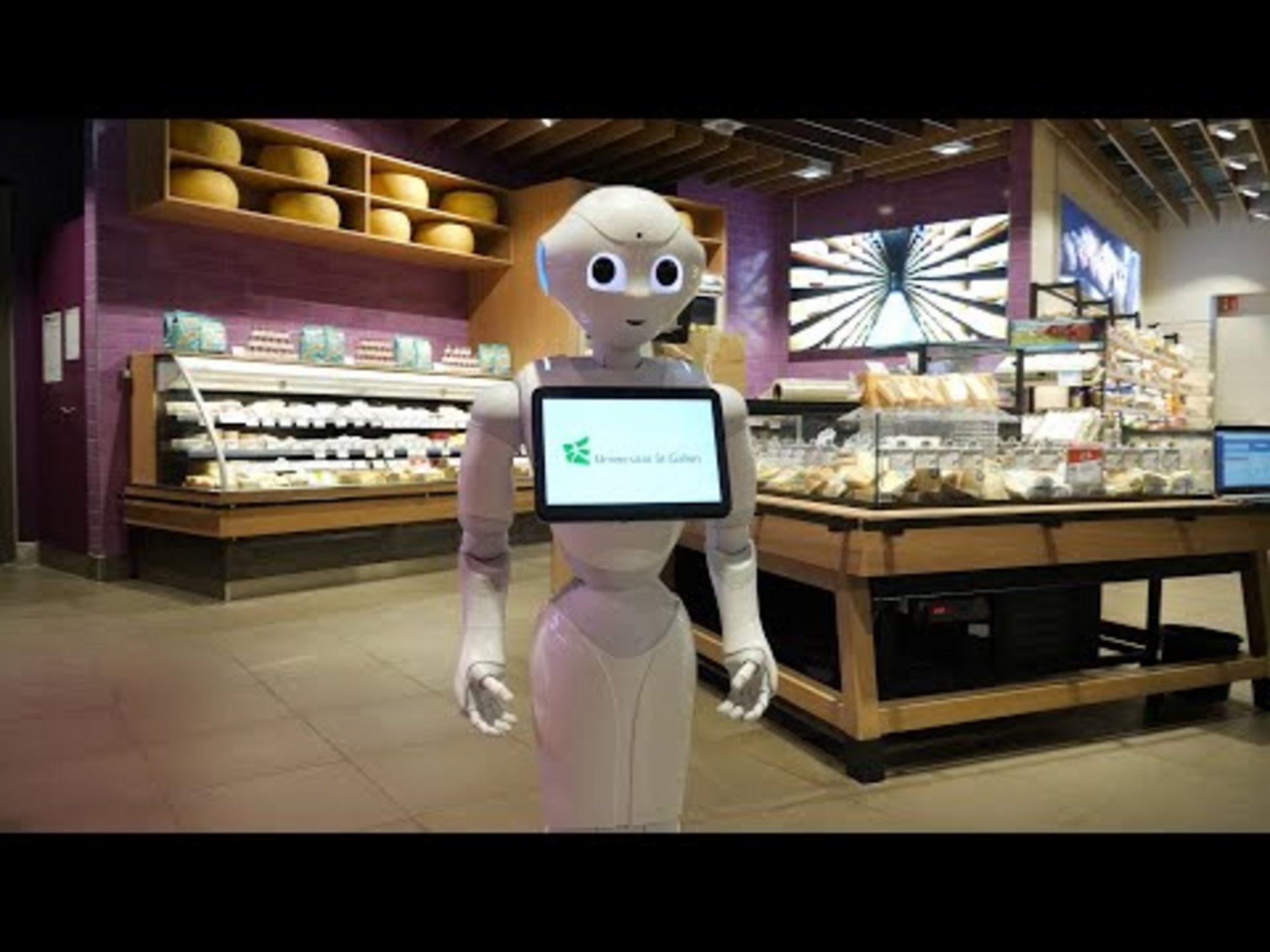 Low Bot Robots in retail
