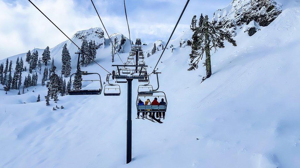 Schwarzer Schwan durchkreuzt den Wintertourismus