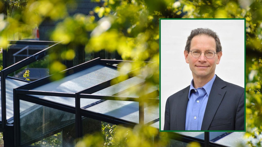 Warum Populismus und illiberale Politik anziehend wirken