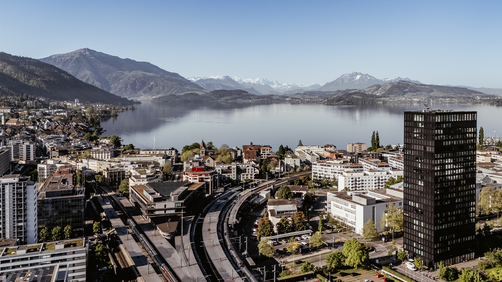 Swiss Single Family Offices