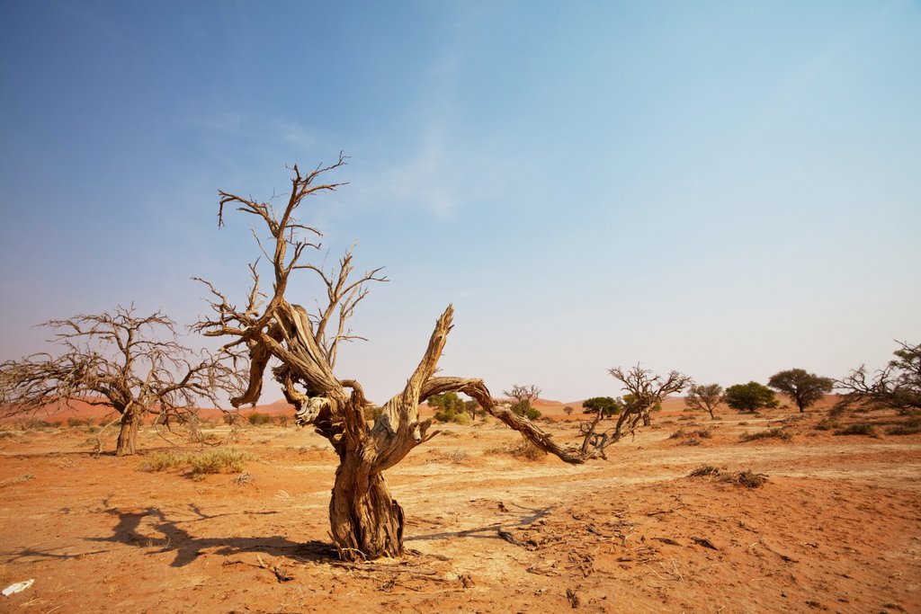 HSG participates in EU project against desertification | unisg.ch