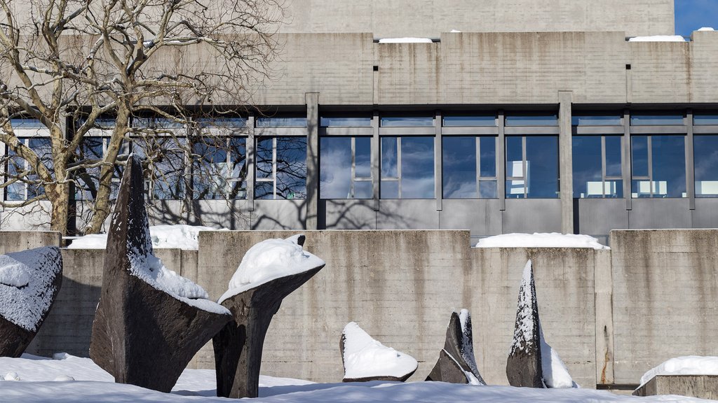 Stellungnahme der Universitätsleitung