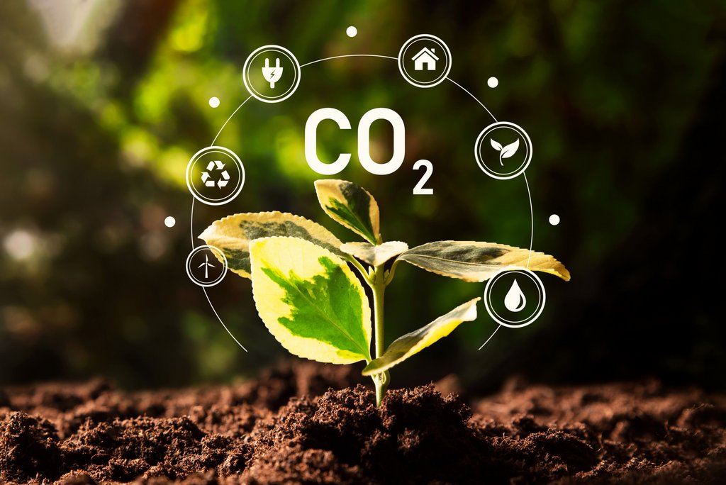 Klimapolitik und Klimagerechtigkeit: Zusammenspiel der Disziplinen