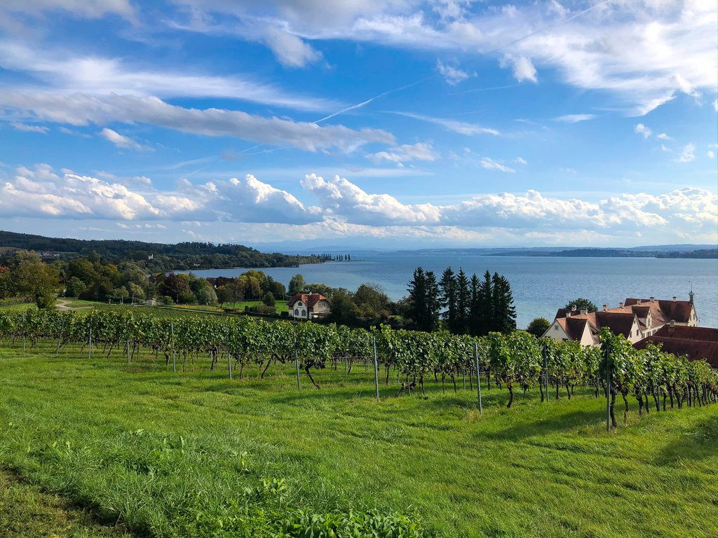 Circular Lab von HSG und Projektpartnern | unisg.ch Am 1. Juni 2023 wird das Circular Lab, der zentrale Hub für die Kreislaufwirtschaft (Circular Economy) in der Bodenseeregion, seine Aktivitäten aufnehmen.