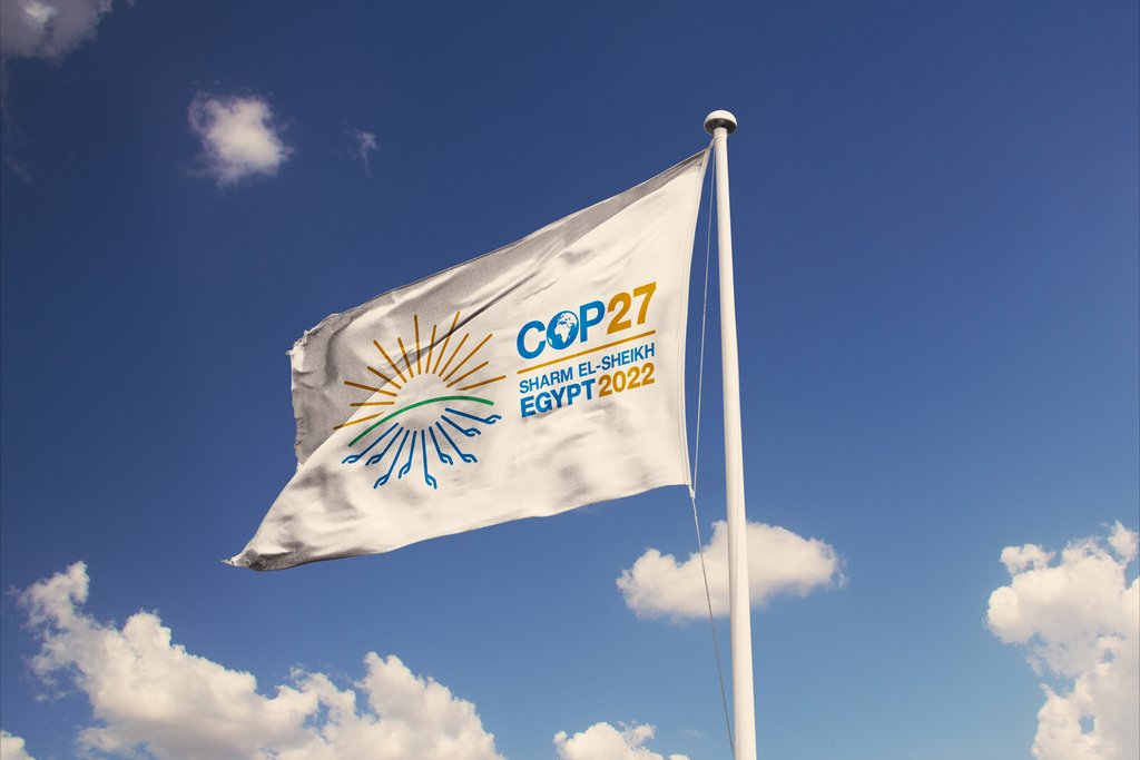 COP-27