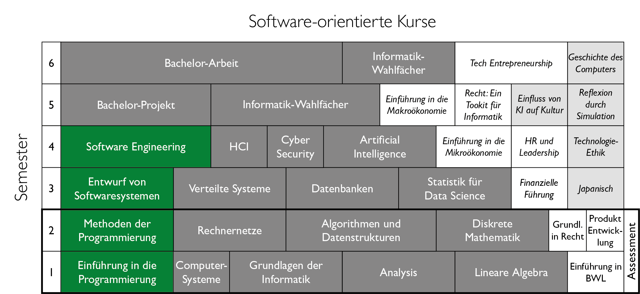 BCS Curriculum, Software-orientierte Kurse