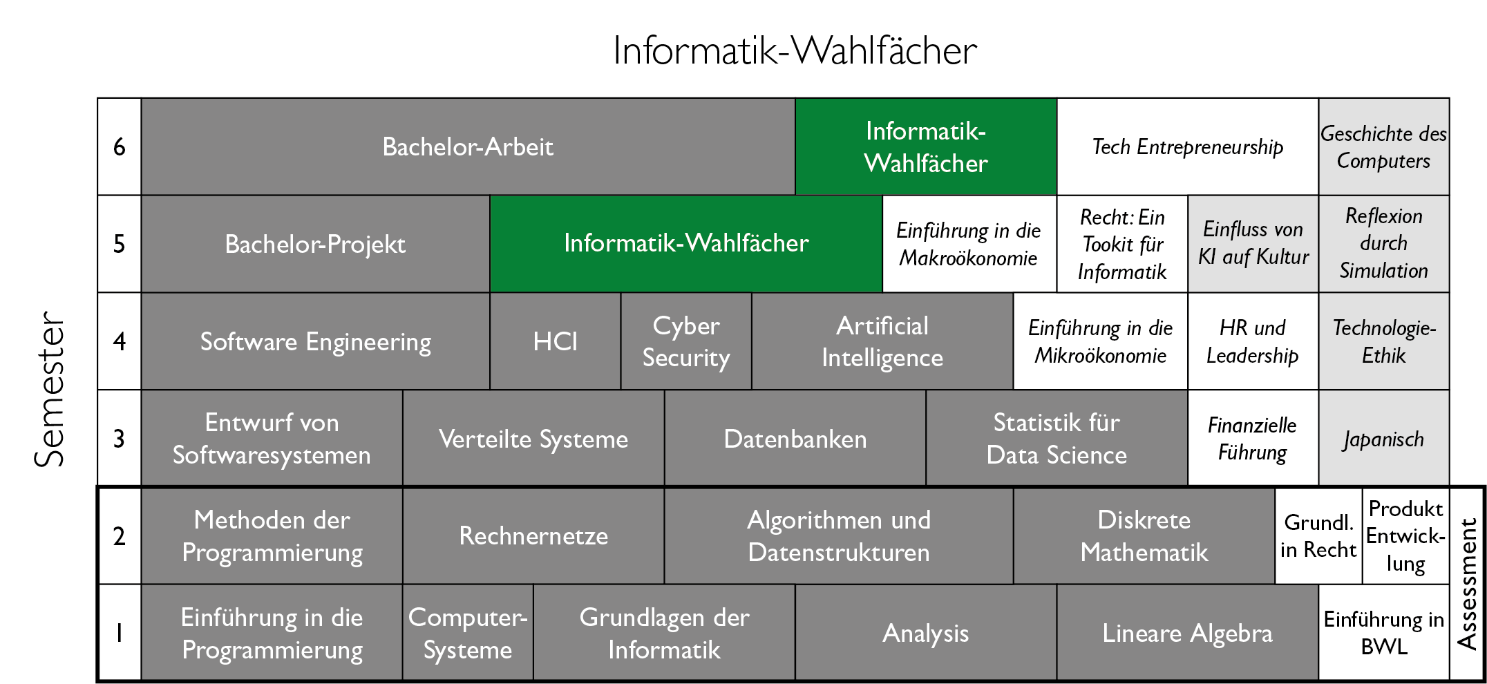 BCS Curriculum, Informatik Wahlfächer